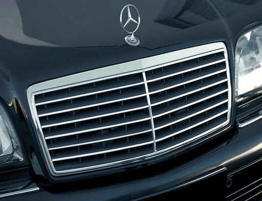 [227322] Mercedes® Grill and Insert, Avantguard 600 Style, 1993-1995 (124)