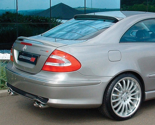 [217566] Mercedes® Rear Roof Wing, No Antenna Hole, Dynamic Performance, 2006-2009 (209)